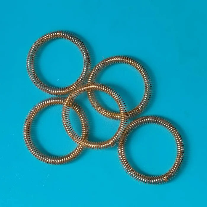 Customized O-Shaped Circular Stainless Steel Spring Coil Industrial Use Oil Seal Garter Belt Replacement