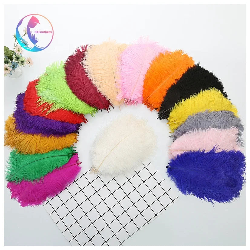 Direct Selling Colourful 20-25 cm Ostrich Feathers for Hats Crafts Party and Home Decoration
