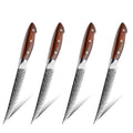 4pcs Damascus Steak Knife Set Japanese AUS10 Damascus Steel 67 Layer High Carbon Steel Dinnertable Knife