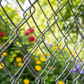 Low Cost Hot Dipped Galvanized Chain Link Fence Roll JoyLink Brand Anti-Rodent Security Fencing for Africa & Caribbean