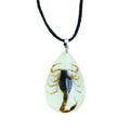 Real Genuine Beetle Insect Bug Lucite Necklace Resin Teardrop Scropions Necklace for Women Men