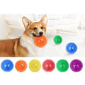 Best Seller TPR Squeaky Spike Ball Dog Toy-Highly Reliable & Long Lasting Indoor Use