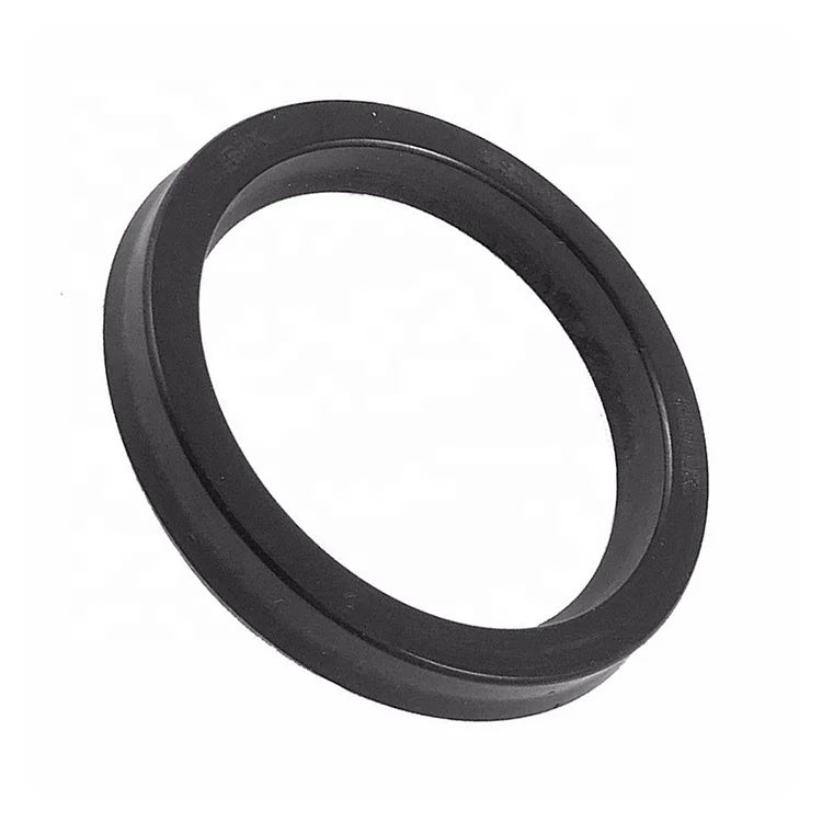 NBR Buna FKM Silicone HNBR EPDM TC SC Oil Seal 75x95x7 for Various Applications