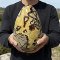 Natural Septarian Dragon Stone Egg Large Size Polished Crystal Geode Mineral Specimen for Home Decor