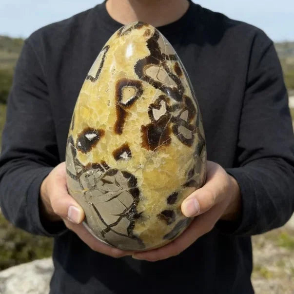 Natural Septarian Dragon Stone Egg Large Size Polished Crystal Geode Mineral Specimen for Home Decor