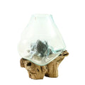 Modern Desktop Decoration Hydroponic Green Plants Vase Natural Solid Wood Base Transparent Glassware for Simple Home Decoration