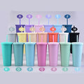 Reusable 22oz Double Wall Colored Acrylic Matte Black Plastic Bulk Cold Drinks Tumbler Cups with Lid and Straw