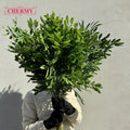 Dalian Chermy DC134-1 Home Wedding Decoration Artificial Green Leaves Flowers Arrangement