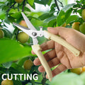 Hot Sale Heavy-Duty Industrial Grade Stainless Steel Garden Scissors Bypass Pruning Shears for Branch Cutting Plant Pruning