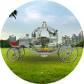 Cinderella Pumpkin Princess Wedding Carriage Horse Drawn Carriage Royal Horse Trailer for Sale