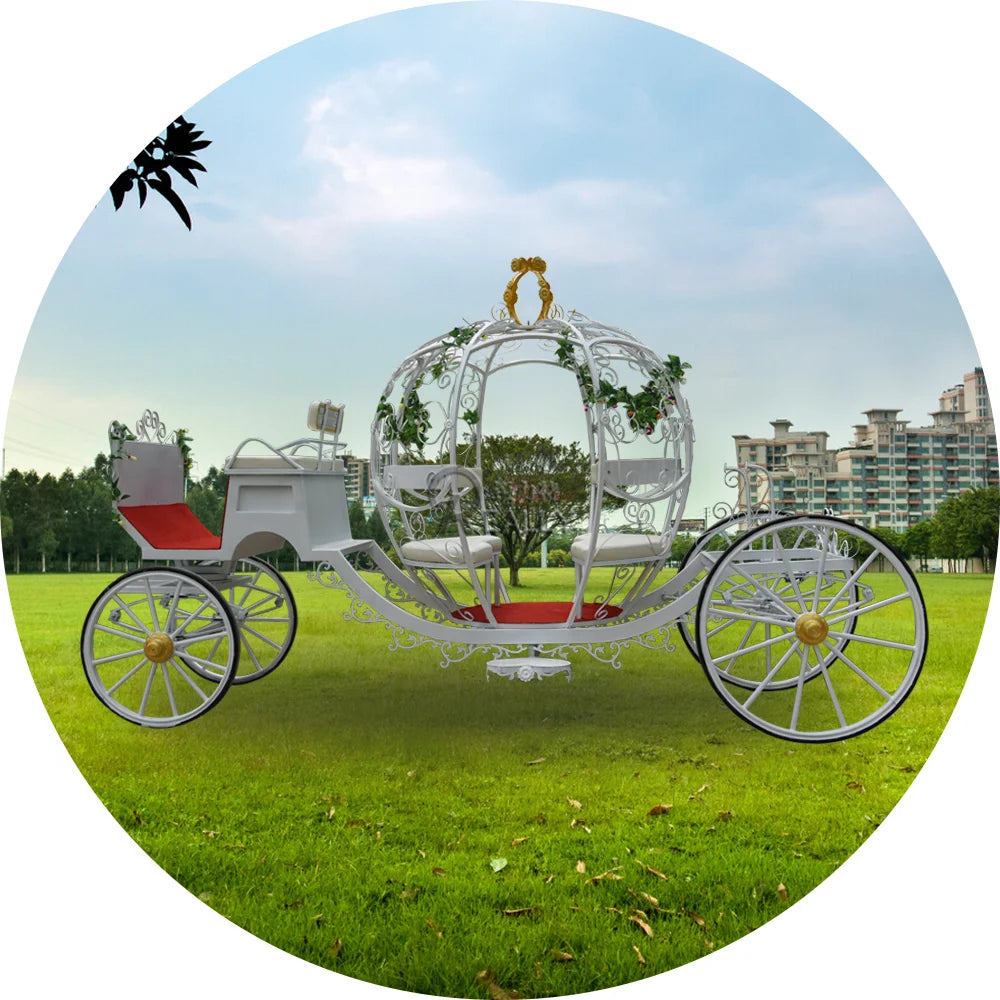 Cinderella Pumpkin Princess Wedding Carriage Horse Drawn Carriage Royal Horse Trailer for Sale