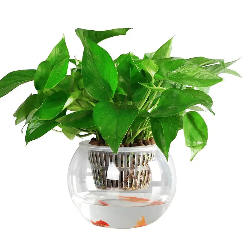 140# 5.5 Inch Hydroponic Mesh Cup Clear Nursery Pots Aquaponic Pot Transparent Net Pot Translucent Net Cups