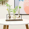 Nordic Ins Iron Art Water Plant Vase Iron Frame Glass Simple Fresh Pothos Flower Vessel Home Desktop Decoration