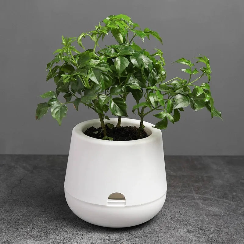 Cheap Garden Round Shape Small Factory Wholesale  the Lazy Self Watering Plastic Flower Pot