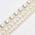 High Grade 2/3/4/6/8/10MM round White Shell Beads Loose for Jewelry Making Wholesale Bone & Coral Beads