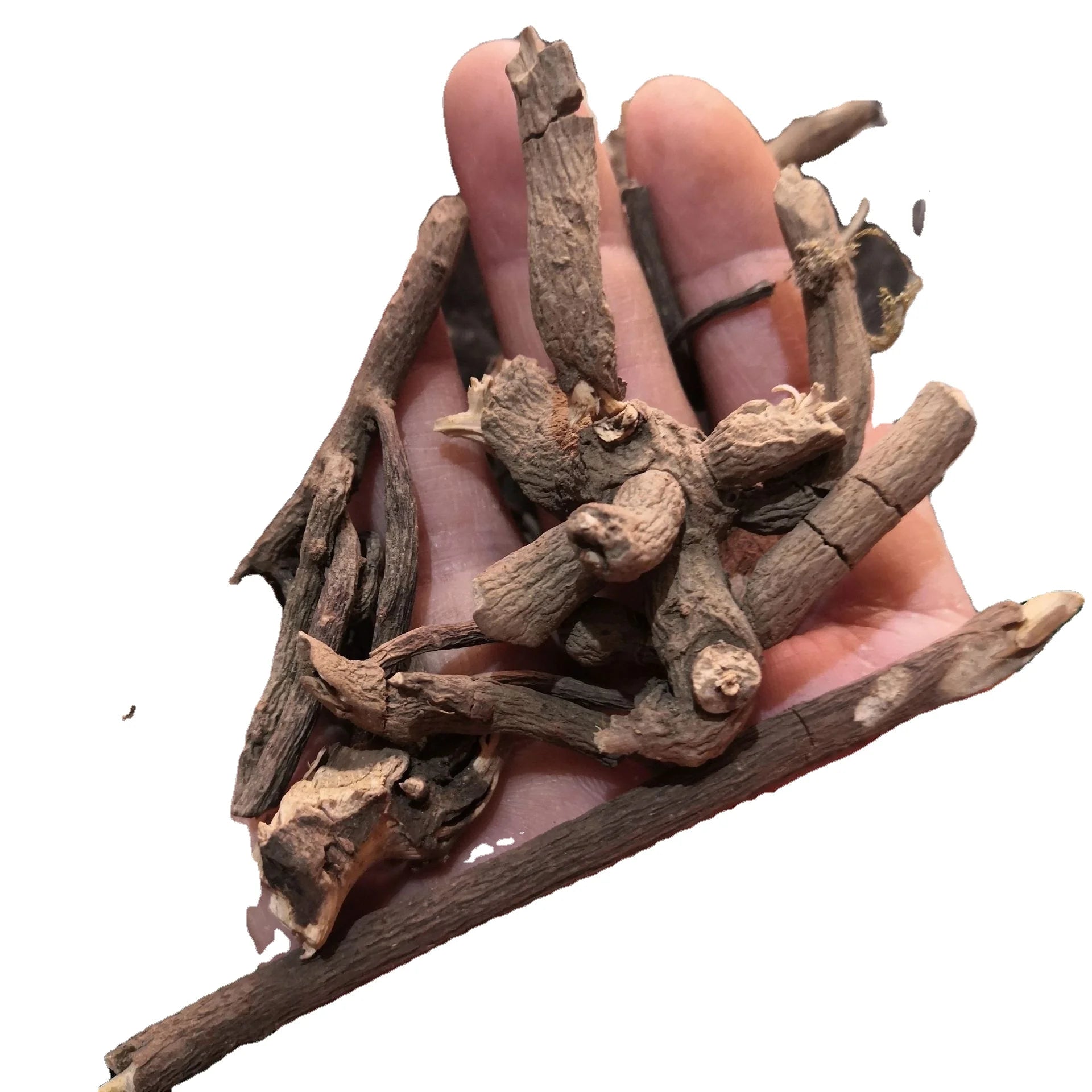 Xiao Luo San New Ardisia Punctata Chinese Herbs Dried Ardisia Punctata Roots for Sale