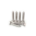 Low Profile 304 316 Stainless Steel Wood Screws Hex Head Lag Screw DIN7976