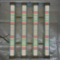 240W Samsung LM301H EVO Mint White Mix 660nm UV IR Green Led Full Spectrum KingBrite Led Grow Light