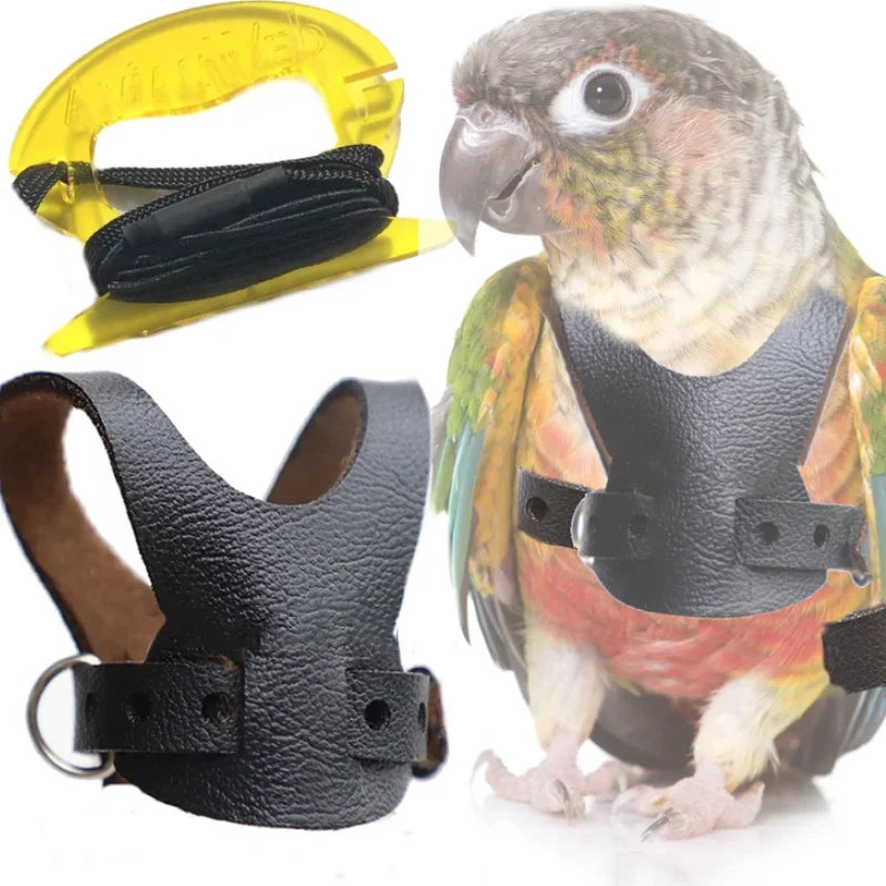 Cockatiel Bird Harness Bird Leash PU Leather Conure Parrot Aviator Harness Bird Harness and Leash