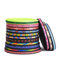 Wholesale Customized Reflective High Tenacity Polyester/Nylon Strap Webbing Embroidered Heat Transfer for Pet Leash