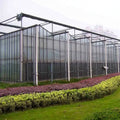 Skyplant Multi-Span Tropical Greenhouse with 3-Layer PE Film for Growing Cucumber/Tomato/Strawberry/Leafy Vegetables