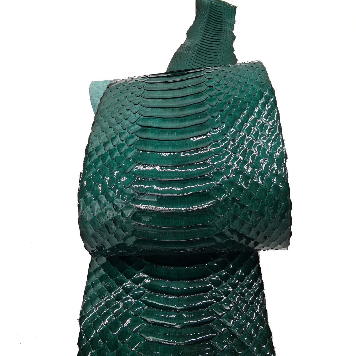 Anaconda Skin Eco-Friendly Grain for Clothing Home Decor Craft & Accessories Materials MegaBDM