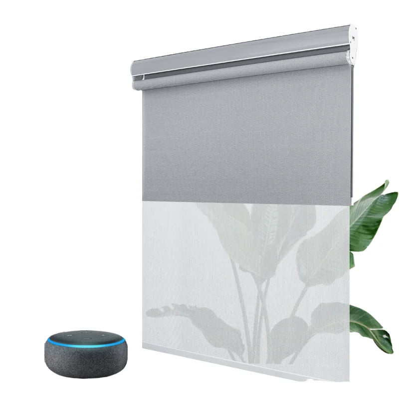 Custom Battery Electric Smart Blackout Double Roller Blinds Day and Night Motorized Shades