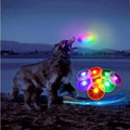 HelloWorld Wandrola Flying Disc Dog Sport Toy with Flashing LED Lights Light up Pet Disk for Night Time Play Discuit