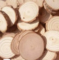 High Quality Round Tree Slice Wood Slices for Crafts Natural Wood Chips with Holes and Bark