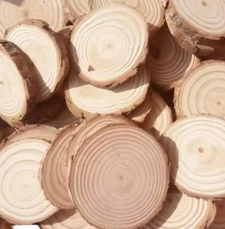 High Quality Round Tree Slice Wood Slices for Crafts Natural Wood Chips with Holes and Bark