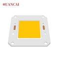 Bridgelux COB LED Street Light Super Brightness 4046/2424 Chip High Power 50W CRI 70/80 7000-8000LM White 120 Viewing Angle High