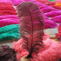 Ivory Natural Ostrich Feathers Plume Floral DIY Craft for Party Carnival Home Wedding Christmas Vase Holiday Decor Dye-Patterned
