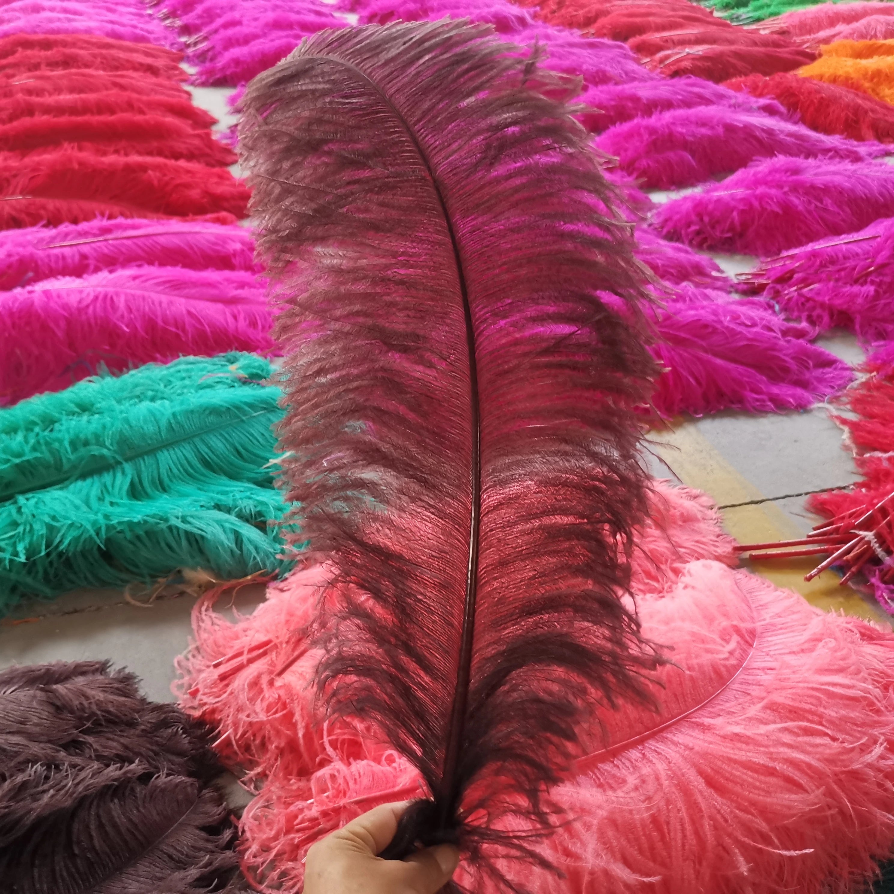 Ivory Natural Ostrich Feathers Plume Floral DIY Craft for Party Carnival Home Wedding Christmas Vase Holiday Decor Dye-Patterned