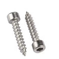 Stainless Steel 316 Hex Socket Head Tapping Screw Hex Socket Allen Cylindrical Cap Head Self Tapping Screws