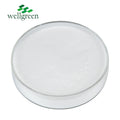 Wellgreen Skin Whitening Raw Material Vitamin B3 99% Purity Niacinamide Powder CAS 98-92-0