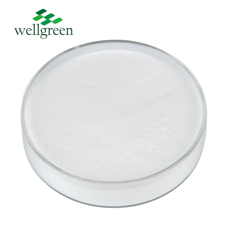 Wellgreen Skin Whitening Raw Material Vitamin B3 99% Purity Niacinamide Powder CAS 98-92-0