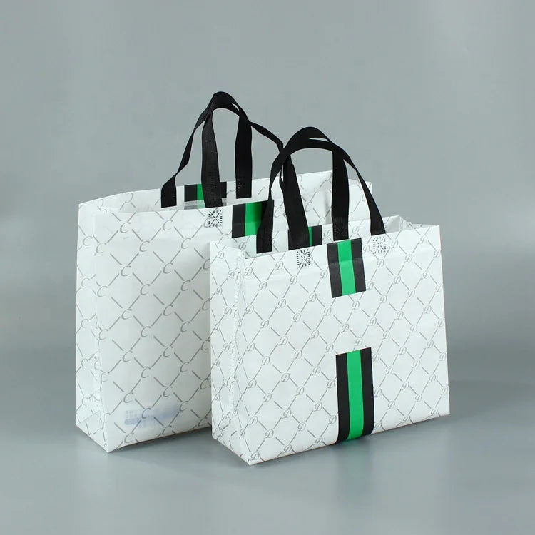 Custom Biodegradable Exhibition Clothing Store Dust Bag with Handled Non-woven Fabric Durable & Customizable