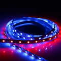 Individually Addressable SK9822 30 60 96 144 LEDs/m RGB RGBW RGBWW LED Strip Lamp Smart Light 12V 5050 RGB Strip Light