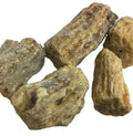 100g High Quality New Dried Incense Shorea Robusta Tree Fragrant Sal Resin