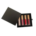Wholesale 4 Color Lip Gloss Glossy Matte Non-Stick Cup Mineral Liquid Makeup Customizable Lip Gloss and Lip Stick Gift Set Box