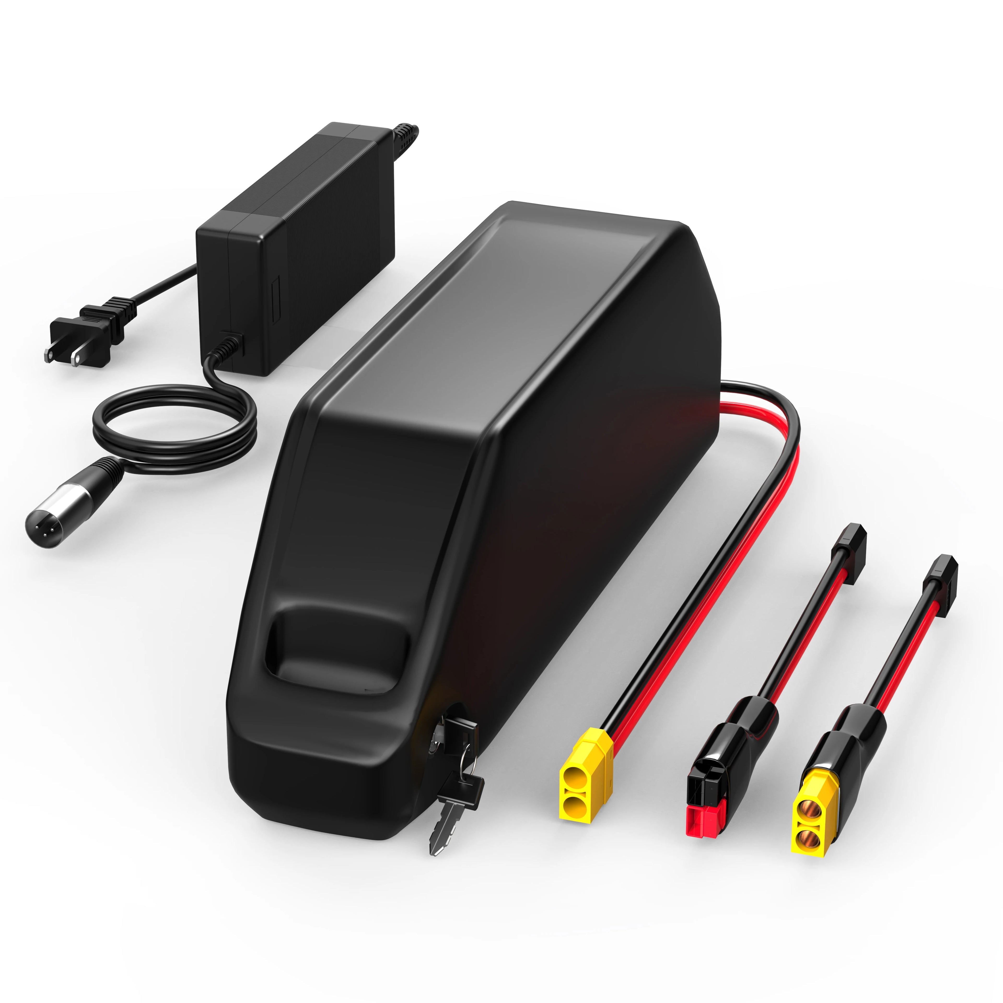 Electric Trike 52V 25AH Lithium Battery Electric Tricycle Bicycle Battery Ebike E-scooter Battery Pack Polly with Sam Sung Cell