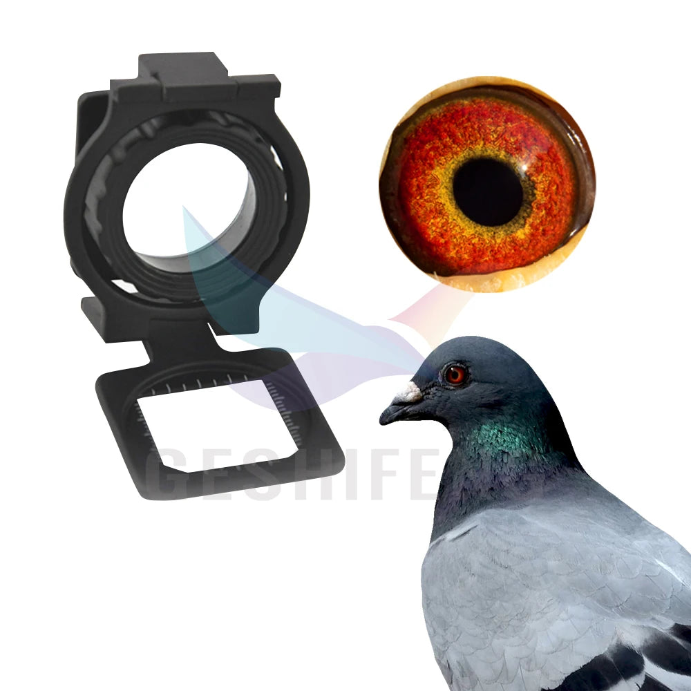 GSF Factory G1236-3 Black Color Watch Magnifying Glass Lens for Watch Pigeon Eyes