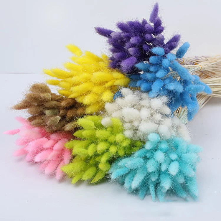 O-X722 Natural Dried Flowers Rabbit Tail Grass Bundle Opp Bag Christmas Decorative Flowers Long Lasting Preserved Bunny Tails