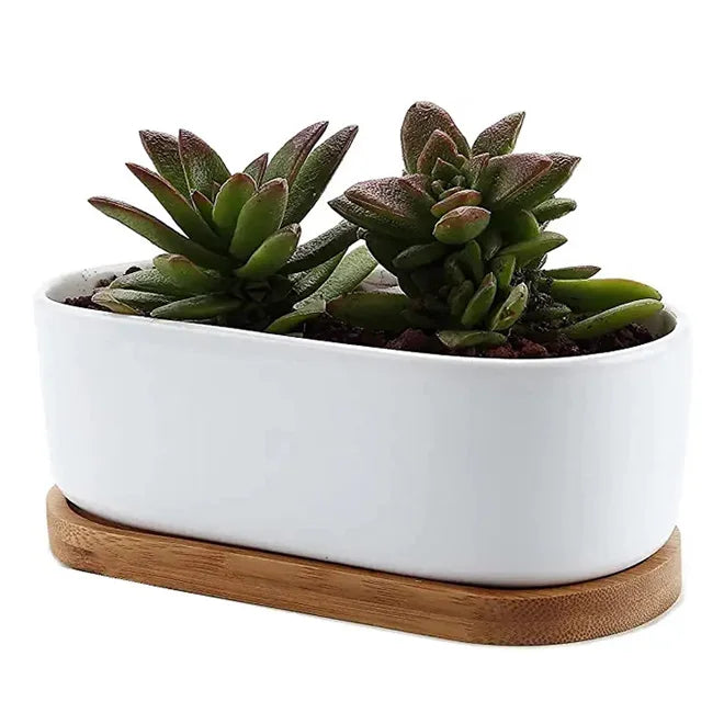 Wholesale Oval Ceramic Succulent Planter With Bamboo Tray Cactus Plant Holder for Home Office Table Desk Decoration
