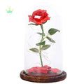 Enchanted Rose LED Night Light Beauty the Beast Inspired Glass Dome Lamp with Red Flower Fallen Petals Wooden Base Green Leaves