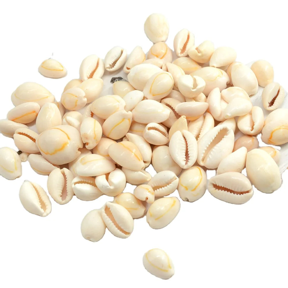 1kg Seashells 1.2-2.5cm Golden White Whole Cowrie Shells for Sale