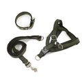 Hot Selling Nylon Dog Harness and Leash Set Durable Breakaway for Medium/Large Dogs with Solid Ribbons Outdoor Use Custom Logo