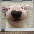 Kawaii Room Decor Walter Dog Flag Tapestry Funny Meme Tapestry Wall Hanging Living Room Decoration Aesthetic Blanket Yoga