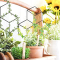 BRICE Garden Metal Trellis Lattice-Shaped Plant Trellis for DIY Potted Climbing Plants Support Flower Vegetables Rose
