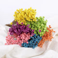 Preserved Flower Bouquet Brazil Small Star Flower Mini Small Star Flower Diy Matching Material Star Chrysanthemum